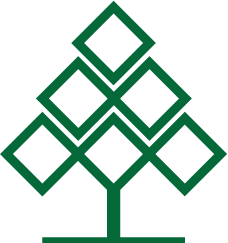 Cedar Promo